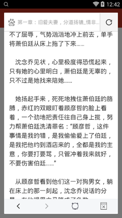 前往文莱，可选择的签证类型有哪些